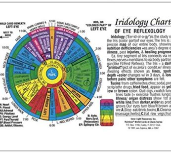 IRIDOLOGY CHART of EYE Reflexology (Rainbow Coded) in the Inner Light Resources Rainbow? C