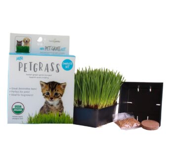 Handy Pantry Organic Cat Grass Kit – Includes 1 Tray, 1 Soil Puck, and Non GMO Wheatgrass