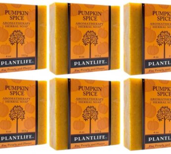 Plantlife Pumpkin Spice 6-pack Bar Soap – Moisturizing and Soothing Soap for Your Skin – Hand Crafted Using Plant-Based Ingredients – Made in California 4 oz Bar