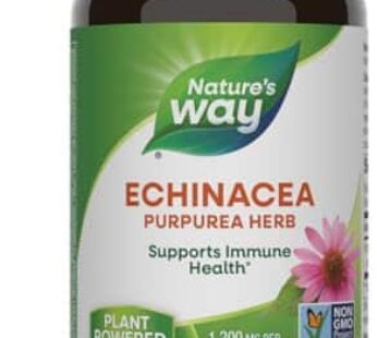 Nature’s Way Echinacea Purpurea Herb, Immune Support*, 1,200 mg per 3- Capsule Serving, Non-GMO Project Verified, Vegan, 180 Capsules (Packaging May Vary)